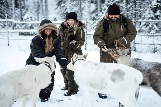 Lupland Activity Park sledding experience Lupland Activity Park sledding area in Lapland