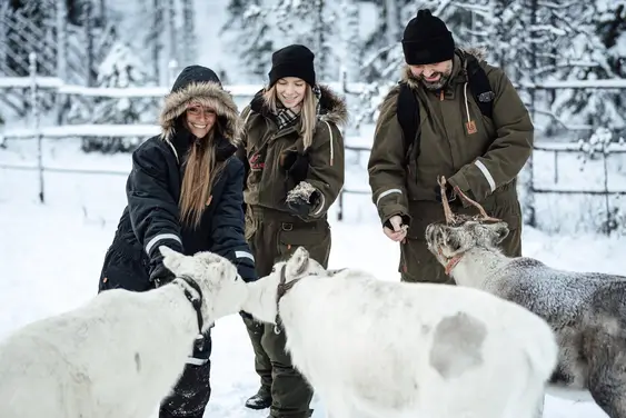 Lupland Activity Park sledding experience Lupland Activity Park sledding area in Lapland