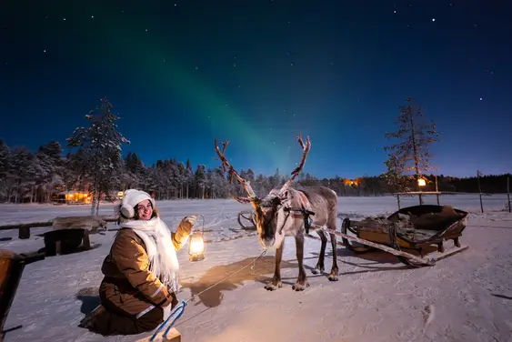 Lupland Aurora Activity Park night experience Lupland Aurora Activity Park illuminated under the northern lights