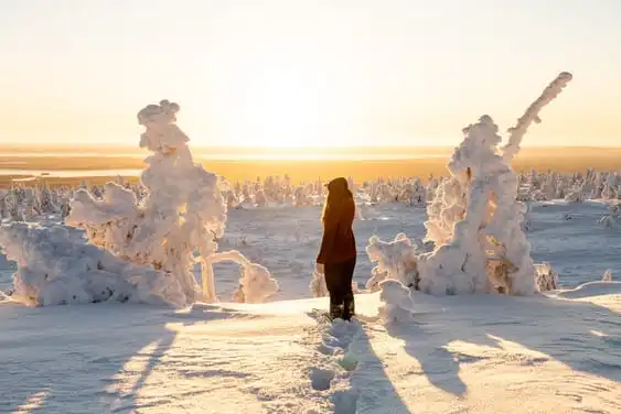 Landscape excursion to Riisitunturi National Park Snowy landscape at Riisitunturi National Park