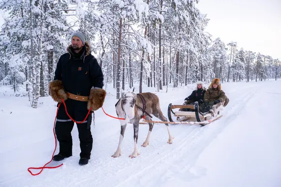 Reindeer sleigh ride in Lapland Reindeer sleigh ride through snowy Lapland