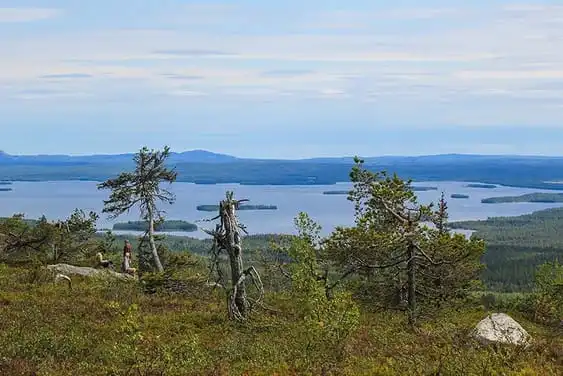 Riisitunturi Riisitunturi