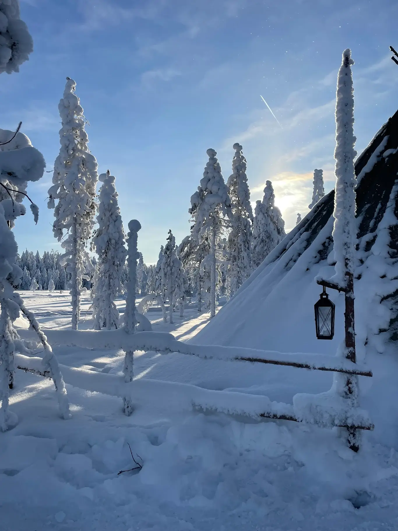 Family guest portrait from a Lupland Google review in Ranua, Lapland